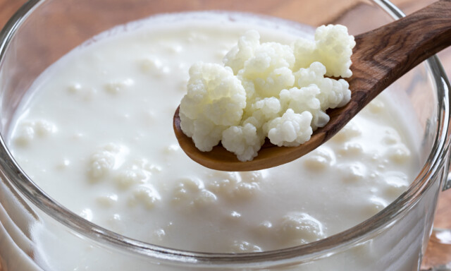 Kefir, som lages av kefirkorn som på bildet, tåles ofte godt av laktoseintolerante personer. Foto: NTB Scanpix /Shutterstock Kefir, som lages av kefirkorn som på bildet, tåles ofte godt av laktoseintolerante personer. Foto: NTB Scanpix /Shutterstock
